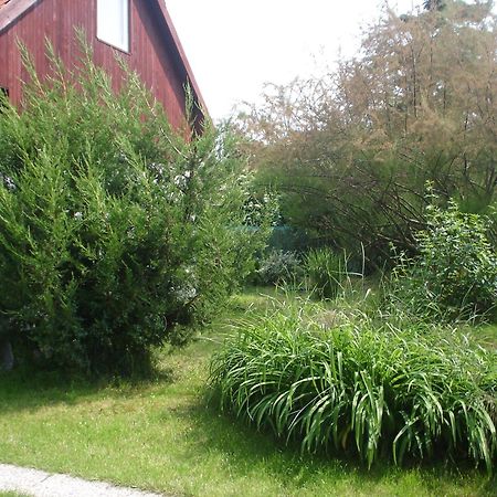 Podhajska Ubytovanie - D&B Konecna Travnica Экстерьер фото